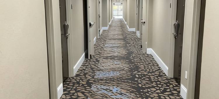 尼斯维尔-德斯廷贝斯特韦斯特酒店(Best Western Niceville-Destin)图片