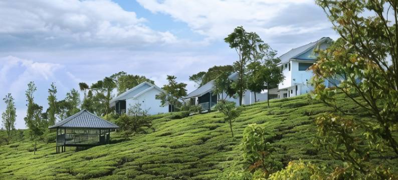 Pekoe Plantation Cottages by LexStays图片