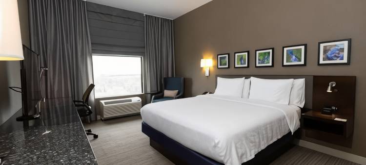 希尔顿花园酒店-奥斯汀机场(Hilton Garden Inn Austin Airport)图片