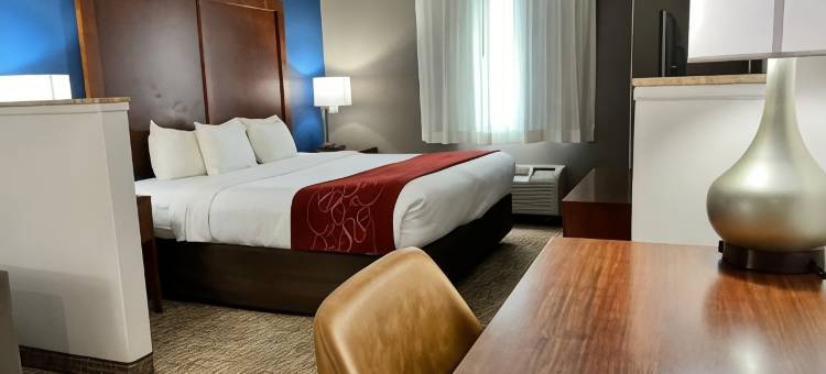 路易斯维尔东舒适套房酒店(Comfort Suites Louisville East)图片