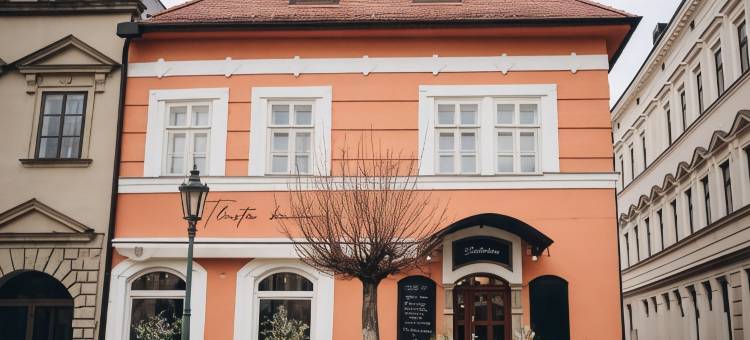 胖鸭膳宿公寓(Penzion Tlusta kachna)图片