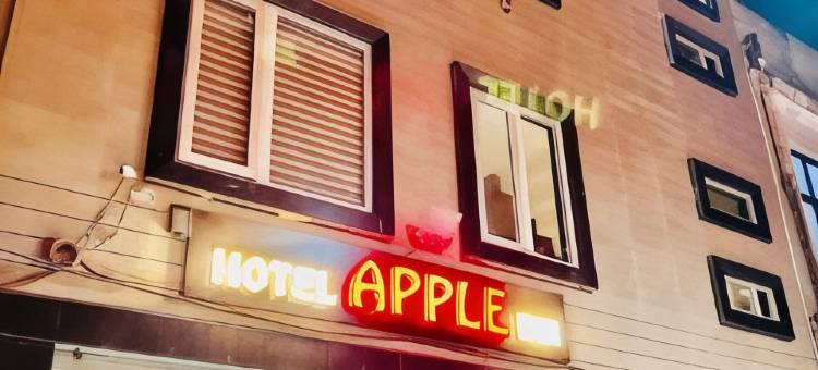 Hotel Apple Inn @ New Delhi Railway Station图片