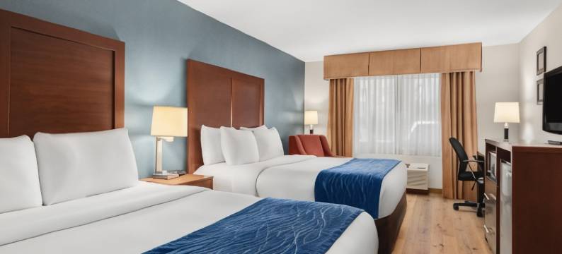 温馨酒店及套房温哥华市中心(Comfort Inn & Suites Vancouver Downtown City Center)图片