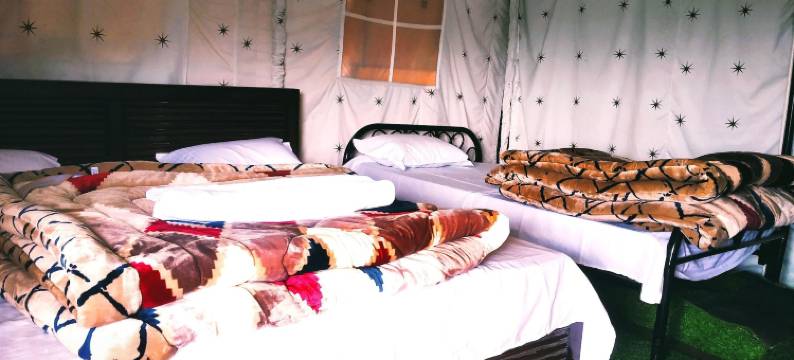 松树先锋生态度假村(Pine pioneer the eco resort)图片