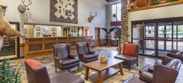 布兰森梅多斯舒适套房酒店(Comfort Inn & Suites Branson Meadows)图片