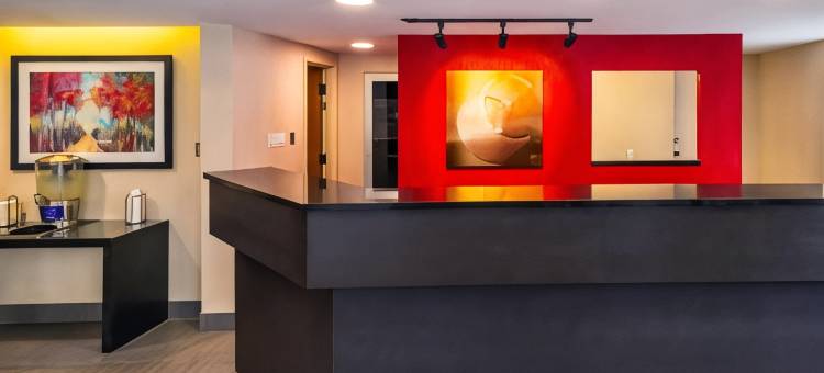 舒适酒店(Comfort Inn)图片