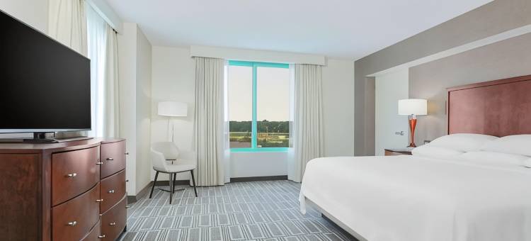 朗伯德希尔顿安泊酒店(Embassy Suites by Hilton Chicago Lombard Oak Brook)图片