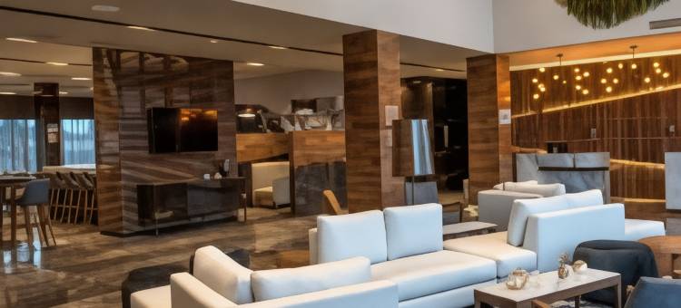 圣路易波托西洛斯拉戈斯万怡酒店(Courtyard San Luis Potosi, Los Lagos)图片