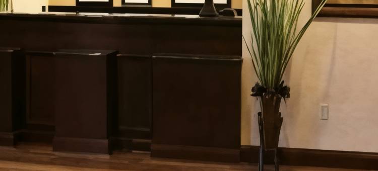 坦帕韦斯利查普尔欢朋套房酒店(Hampton Inn & Suites Tampa-Wesley Chapel)图片