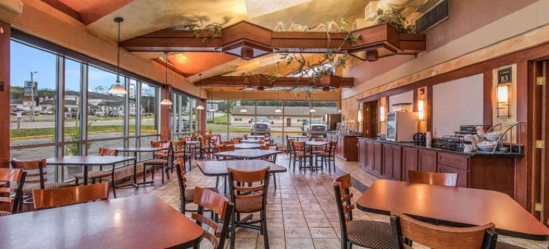 巴拉布活动中心温德姆阿美瑞辛套房酒店(AmericInn & Suites By Wyndham Baraboo Event Center)图片