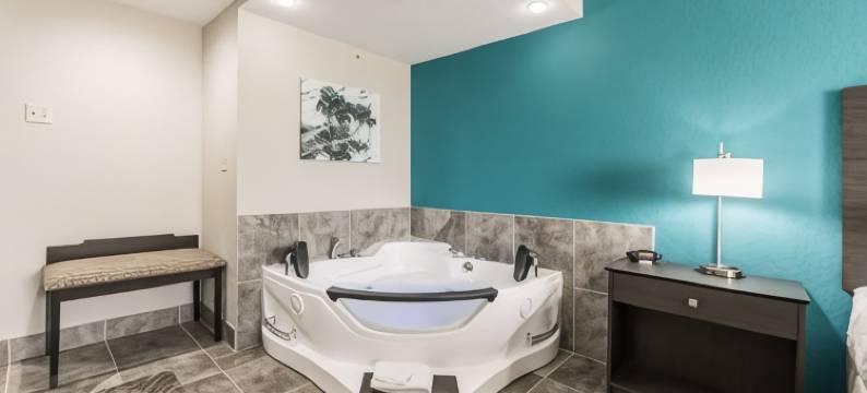 塞巴斯蒂安贝斯特韦斯特优质套房酒店(Best Western Plus Sebastian Hotel  Suites)图片