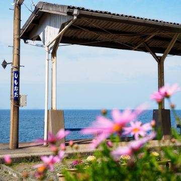 日本四国+高松+高知市+松山+道后温泉7日6晚私家团