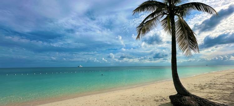 棕榈树湾-海滨;绝美部分海景民宿!(Palm Tree Cove - Stunning Partial Ocean Views; Beachfront Location!)图片