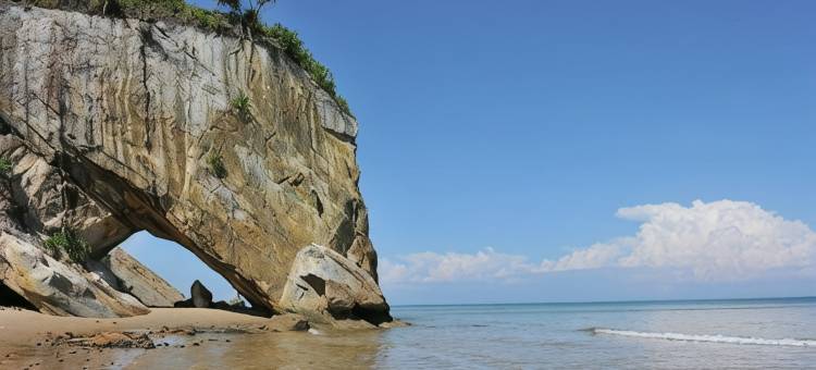 尼亚国家公园Sutera地平线(Sutera Horizon at Niah National Park)图片
