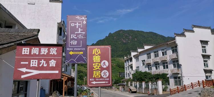 叶上民宿(云和梯田景区店)图片