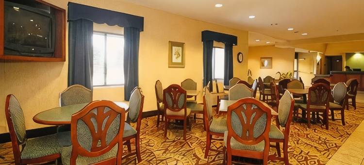 利斯萨米特舒适套房酒店-堪萨斯城(Comfort Inn & Suites Lees Summit - Kansas City)图片