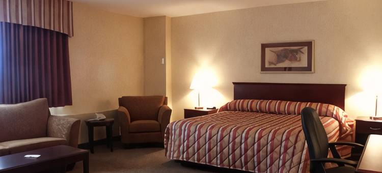 达勒姆贝斯特韦斯特优质酒店及会议中心(Best Western Plus Durham Hotel  Conference Centre)图片