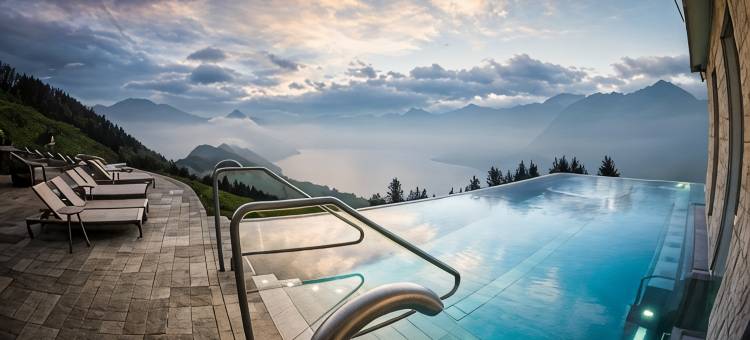 霍尼格别墅(Hotel Villa Honegg)图片