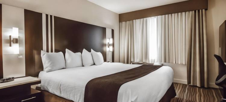 温哥华机场Comfort酒店(Comfort Hotel Vancouver Airport)图片