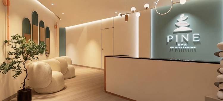 千禧湖景酒店(Millennium Lakeview Hotel)图片