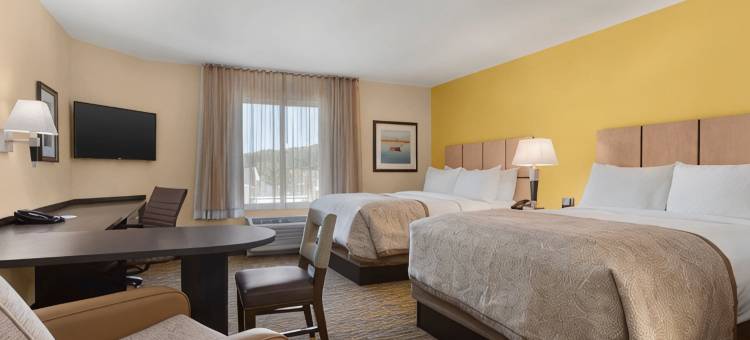 维斯塔-宾汉顿洲际Candlewood Suites酒店(Candlewood Suites VESTAL - BINGHAMTON by IHG)图片