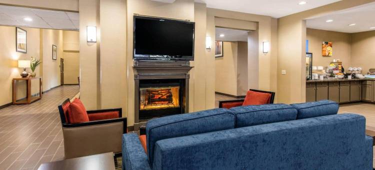 IAH布什机场-东舒适套房酒店(Comfort Inn & Suites IAH Bush Airport - East)图片
