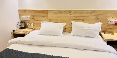 帕洛萊姆的巴塞拉