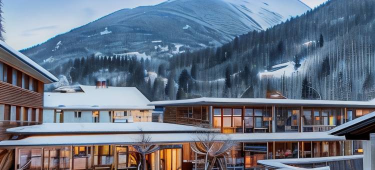 蒙塔丰JUFA酒店(Jufa Hotel Montafon)图片