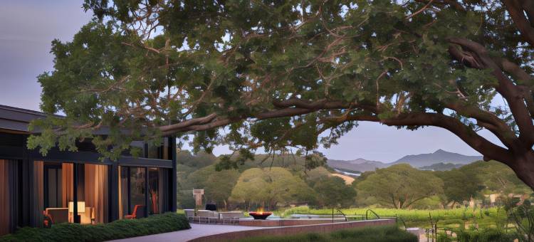 蒙塔奇希尔兹堡(Montage Healdsburg)图片