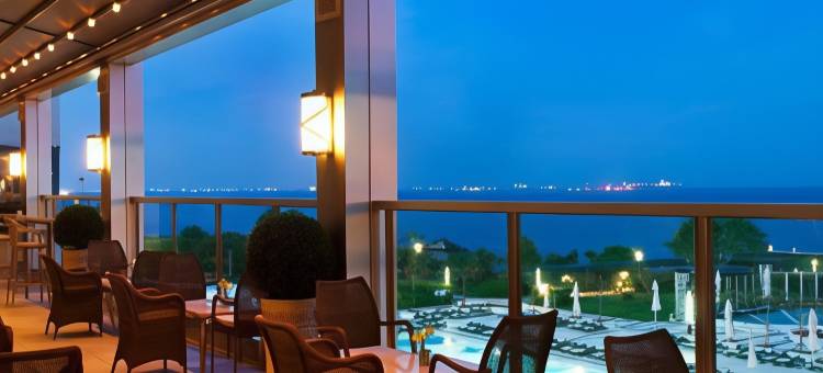 万丽波拉特伊斯坦布尔酒店(Renaissance Polat Istanbul Hotel)图片