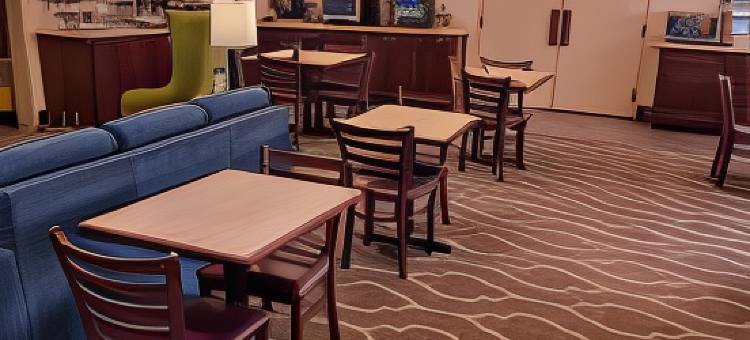 舒适套房酒店(Comfort Inn & Suites)图片