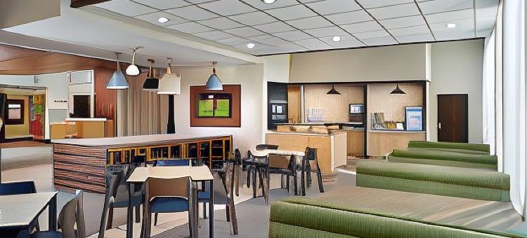 弗莱彻阿什维尔机场万豪万枫套房酒店(Fairfield Inn & Suites Asheville Airport/Fletcher)图片