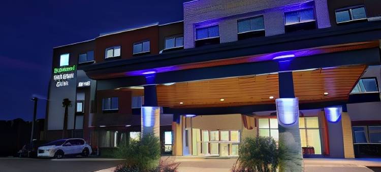 奥兰多东南洲际智选假日套房酒店(Holiday Inn Express & Suites ORLANDO SOUTHEAST by IHG)图片