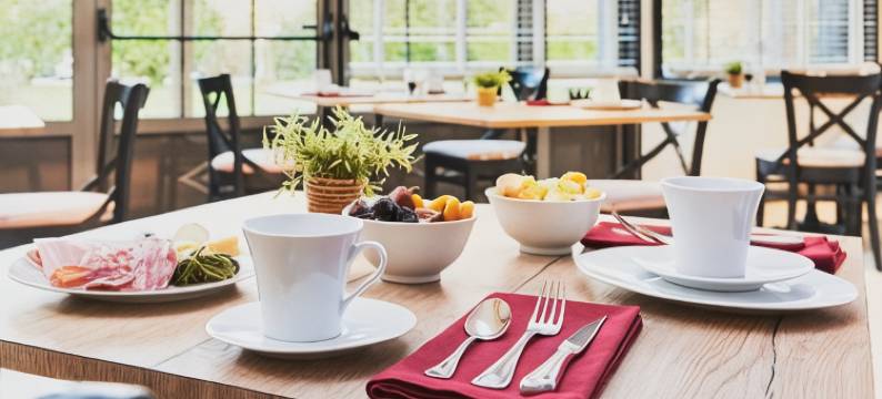 索莱斯Spa酒店(Hotel Spa les Saules)图片