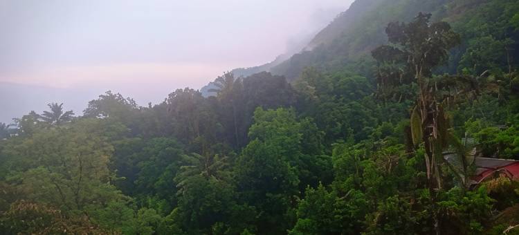 Hotel O Home Homeplus Summer Club BHK Peaceful Nature Munnar图片