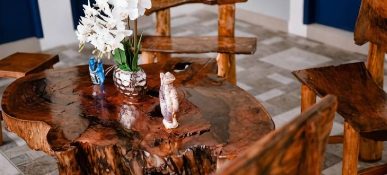 唐劳尔酒店(Hotel Don Raul)图片