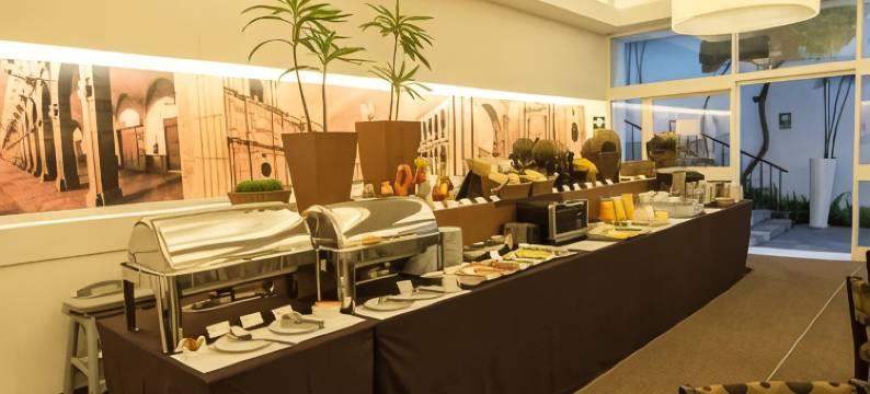 蒂拉维瓦阿雷基帕广场酒店(Tierra Viva Arequipa Plaza)图片