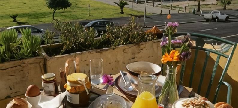 海豚宾馆酒店(Dolphin Inn Guesthouse)图片