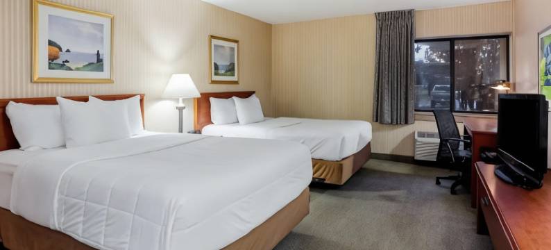 底特律绍斯盖特拉昆塔温德姆酒店(La Quinta Inn by Wyndham Detroit Southgate)图片