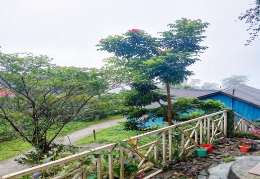 Rongo White House by StayApart Hotel Overview