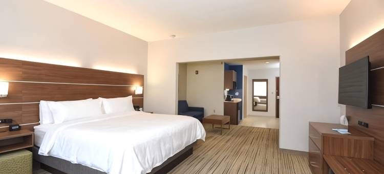 智选假日套房酒店南部的杉木树丛区(Holiday Inn Express & Suites Southern Pines-Pinehurst Area)图片