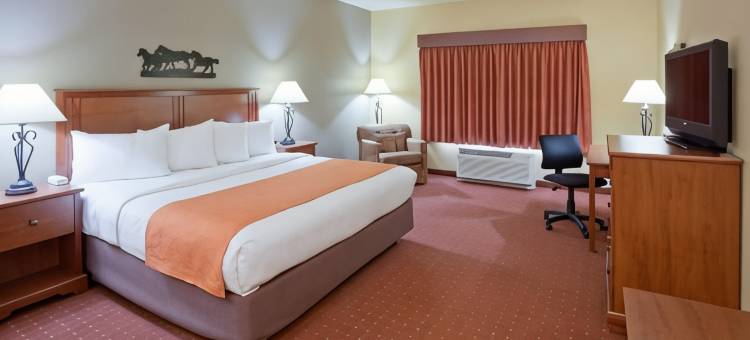 法戈南温德姆美吟温德姆酒店(AmericInn by Wyndham Fargo Medical Center)图片