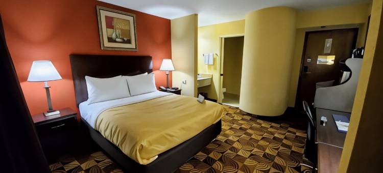 布蓝兹维克里夫兰南凯艺酒店(Quality Inn Brunswick Cleveland South)图片