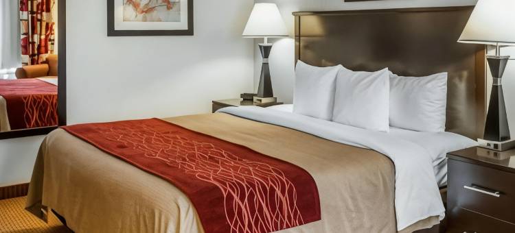 法明顿凯艺套房酒店(Quality Inn & Suites Farmington)图片