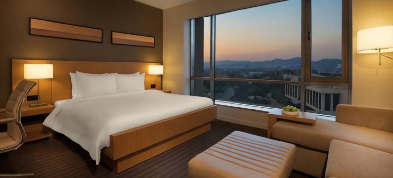 普纳信佳瓦迪凯悦嘉轩酒店(Hyatt Place Pune Hinjewadi)图片