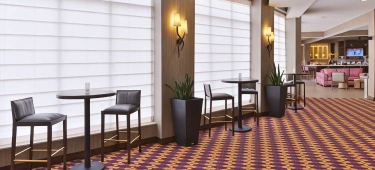 哈柏斯希尔顿花园酒店(Hilton Garden Inn Hobbs)图片