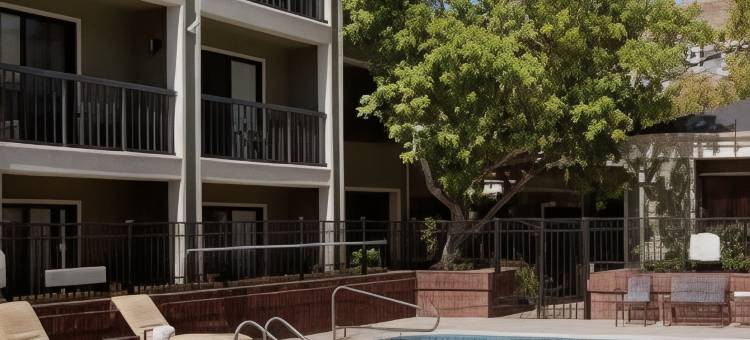 旧金山拉克斯珀兰丁/马林郡万怡酒店(Courtyard San Francisco Larkspur Landing/Marin County)图片