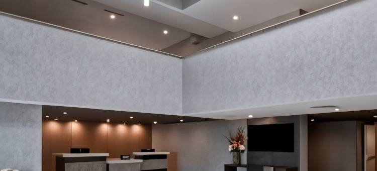 密苏里圣路易斯机场希尔顿逸林酒店(DoubleTree by Hilton St. Louis Airport)图片