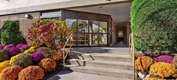 塞奥西特长岛舒适酒店(Comfort Inn Syosset-Long Island)图片