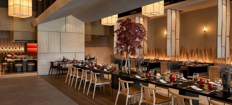 Secrets Baby Beach Aruba图片